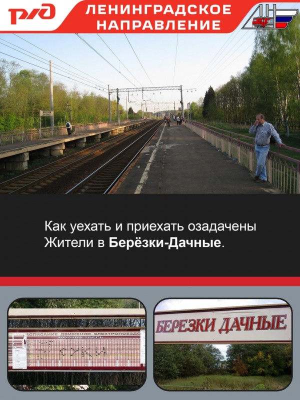 62 берёзки станция. берёзки дачные поварово. березки дачные подсолнечная. березки дачные подсолнечная. станция березки псковская область.